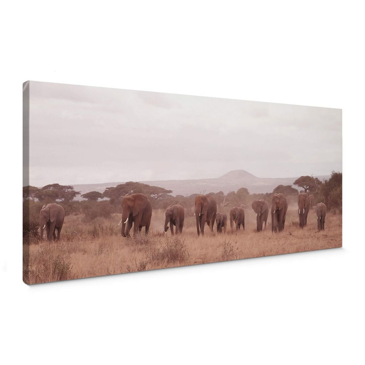 Leinwandbild Elefantenherde - WA362447