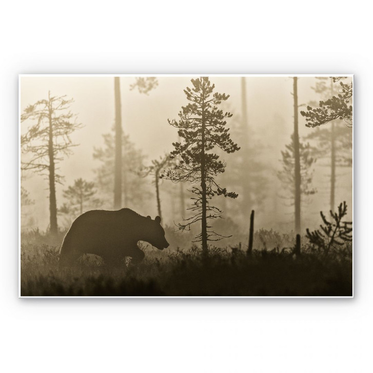 Wandbild Ove Linde - Nebel am Morgen - WA195055