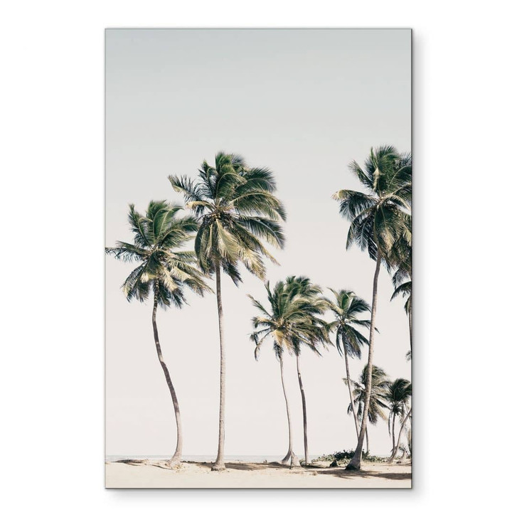 Wandbild Tropische Palmen am Strand - Sisi & Seb - Alu-Dibond - WA464748
