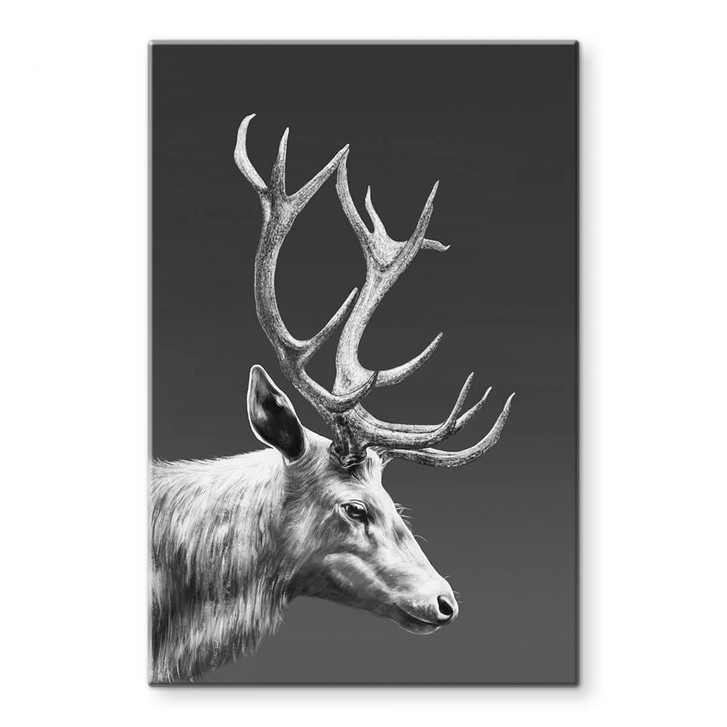 Glasbild Hirsch mit Geweih schwarz-weiss - Roberg - WA443703