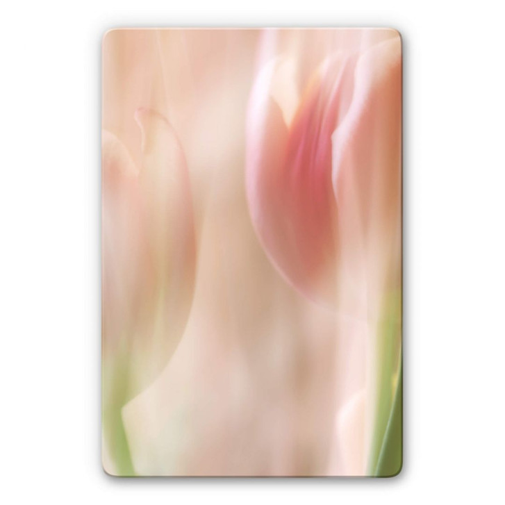 Glasbild Westum - Shy tulips - WA286714