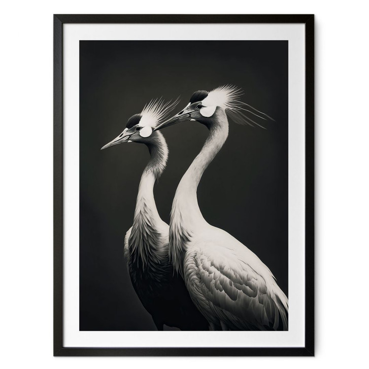 Poster Zwei Kronenkraniche in Schwarz-Weiss - Treechild - WA483726