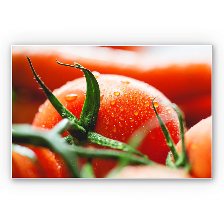 Wandbild Fresh Tomato - WA192671