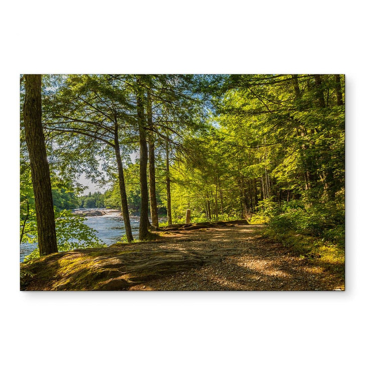 Wandbild Waldweg am Fluss - Alu-Dibond - WA423273