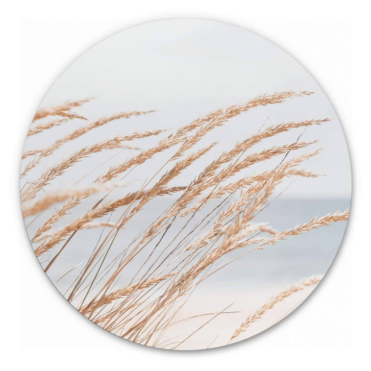 Alu-Dibond Dünengras - Rund - WA319790