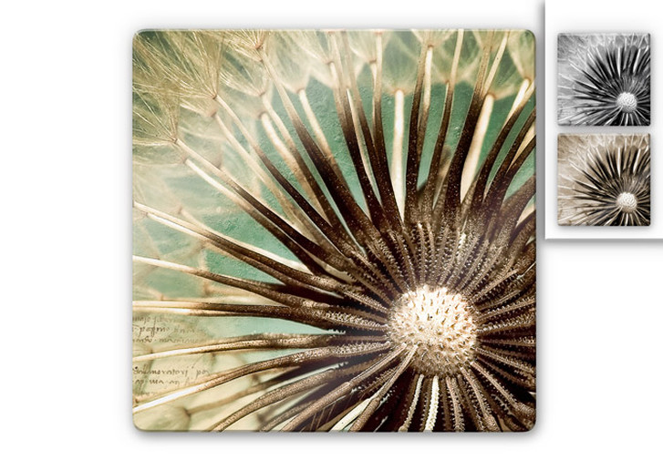 Glasbild Pusteblumen-Poesie - quadratisch - WA126918