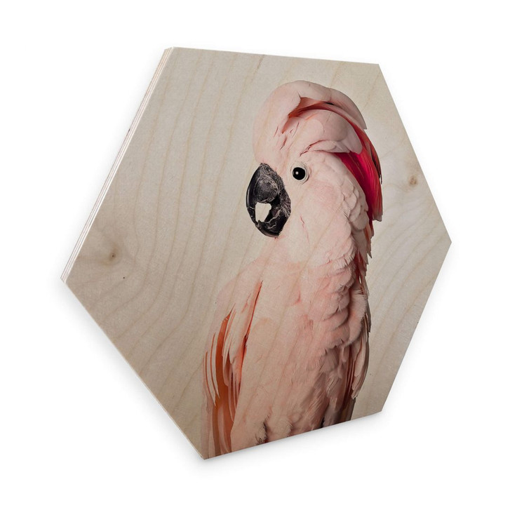 Hexagon - Holz Sisi & Seb - Rosa Kakadu - WA302705