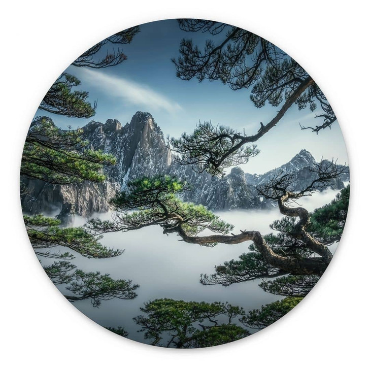 Wandbild Kiefernwald im Huang Shan Gebirge - NingYun Ye - Alu-Dibond Rund - WA434104