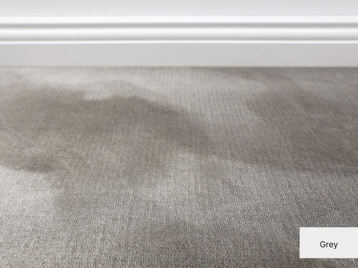 Elegance Teppichboden Meterware in Grey - TS503651