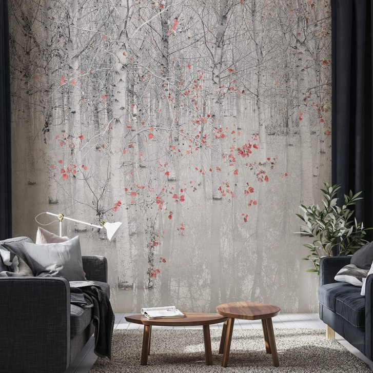 Fototapete Carozzi - Weisser Birkenwald mit roten Blättern - WA345182