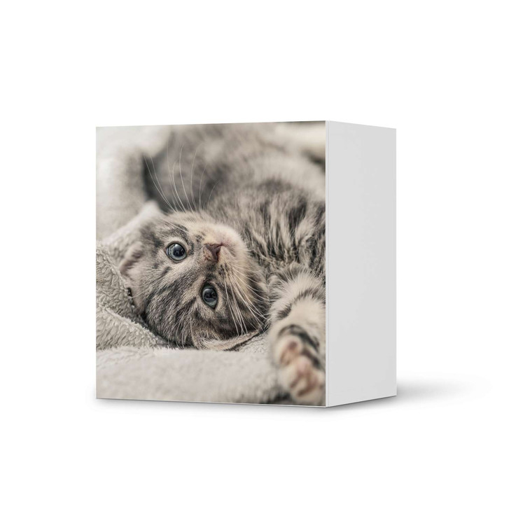 Klebefolie IKEA Besta Regal 1 Türe - Kitty the Cat - CR109197