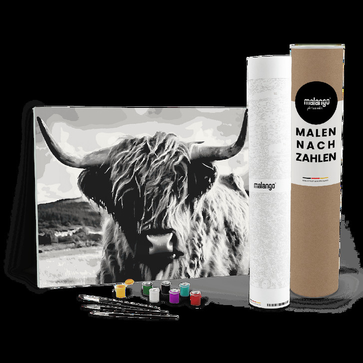 Malen nach Zahlen Leinwandbild - Bulle Bobby - WA447290