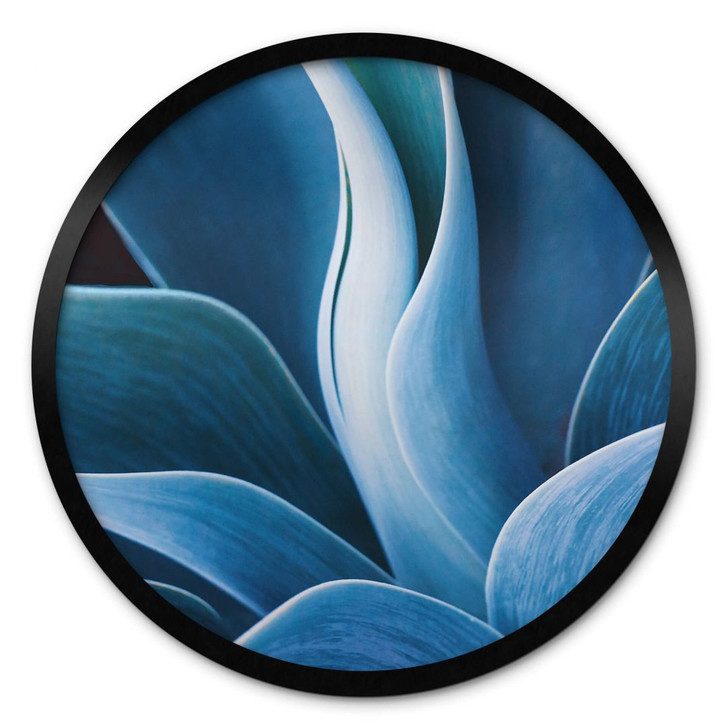 Poster Wechsler - Pflanzen Stillleben Agave - Rund - WA380744