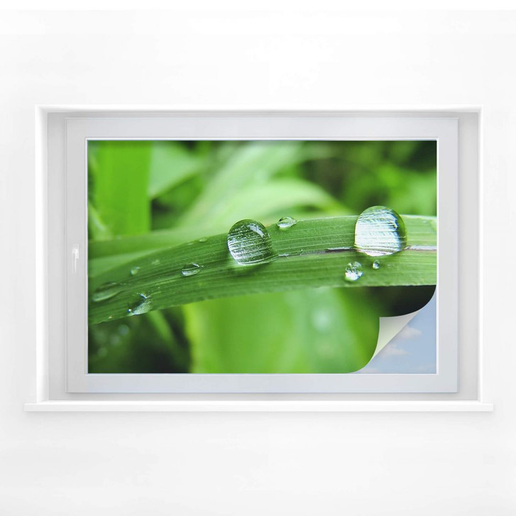 Sichtschutzfolie Natur 4 - WA176111