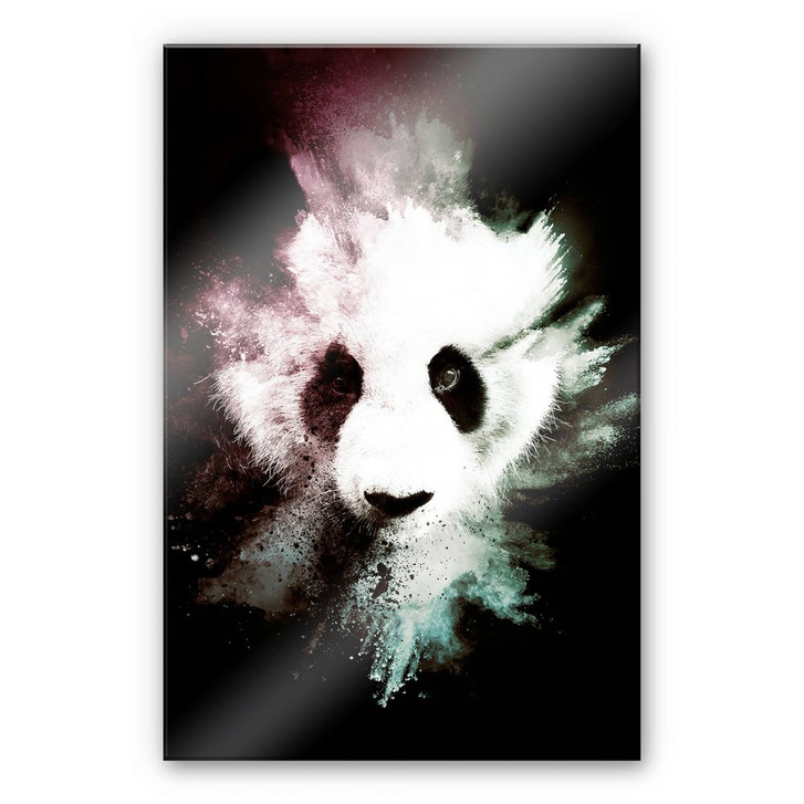 Acrylglasbild Hugonnard - Wild Explosion: Panda - WA269494