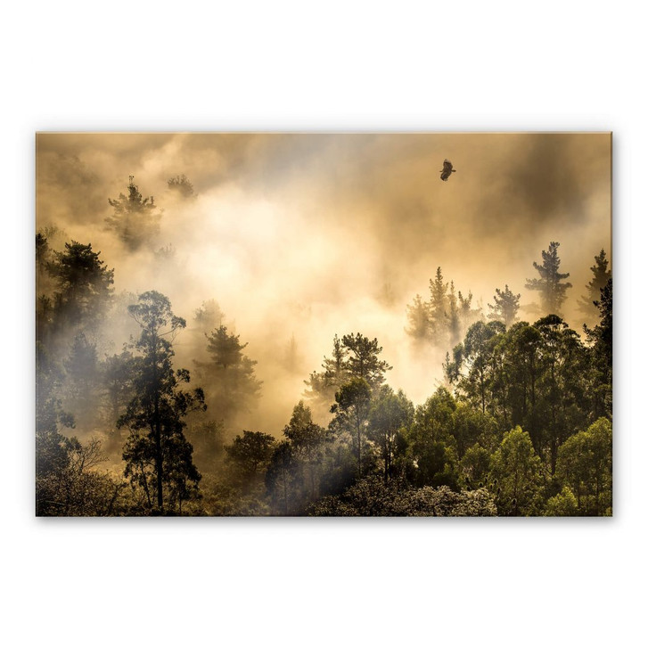 Acrylglasbild Cuadrado - Clouds of Light - WA308073