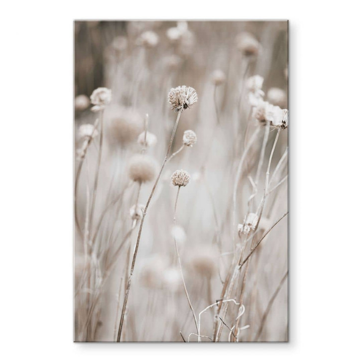 Acrylglasbild Getrocknete Blüten in sanften Tönen - Annie - WA464103