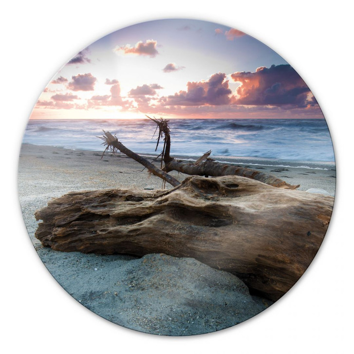 Glasbild Old Tree Trunk - rund - WA126447