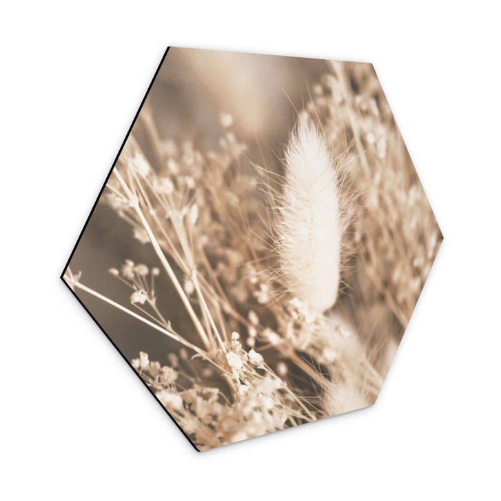 Hexagon - Alu-Dibond Annie - Gräserbund - WA320673