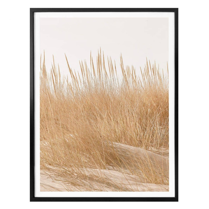 Poster Dünengräser - WA317935