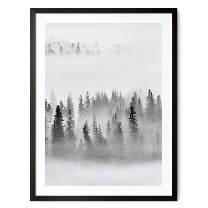 Poster Nebelwald in Schwarz-Weiss - Xu - WA407468