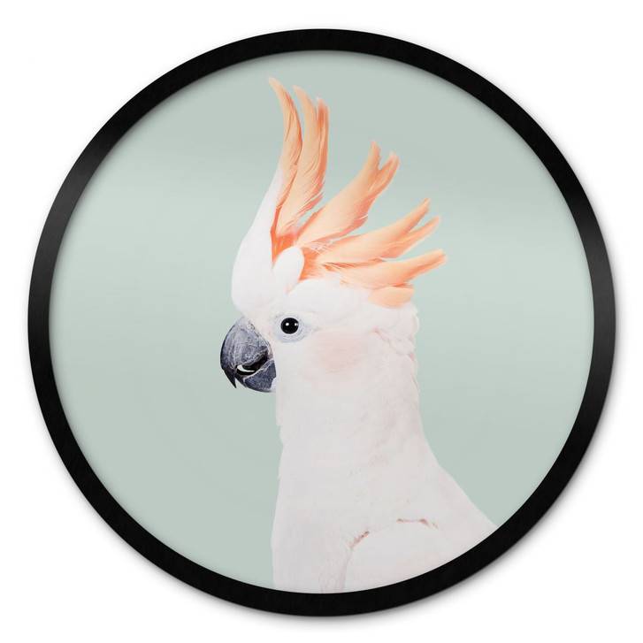 Poster Tierporträt Rosa Kakadu - Sisi & Seb - Rund - WA428381