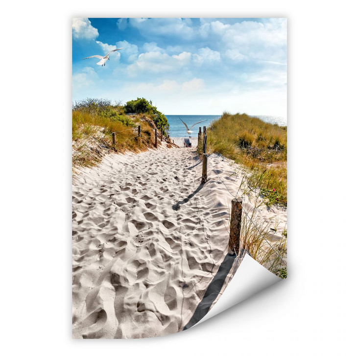 Wallprint Way to the Beach - WA190356
