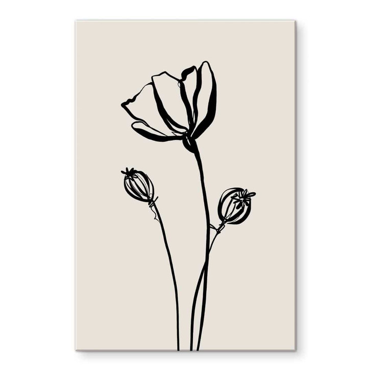 Acrylglasbild Line Art Mohnblume - Cats & Dotz - WA490786