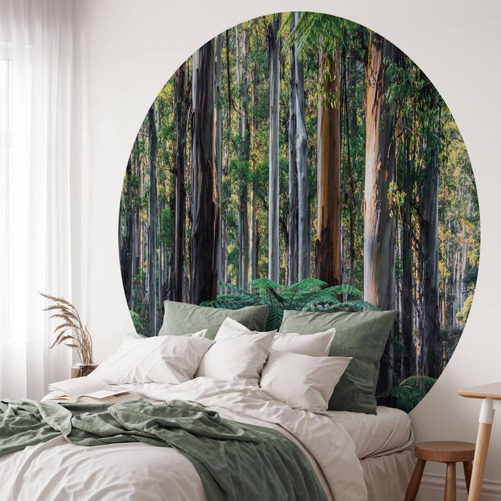 Fototapete Eukalyptuswald in den Yarra Ranges | Waldtapete - Colombo - Rund - Selbstklebend/Vlies - WA474628