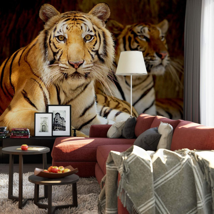 Fototapete Zwei Königstiger - WA227870