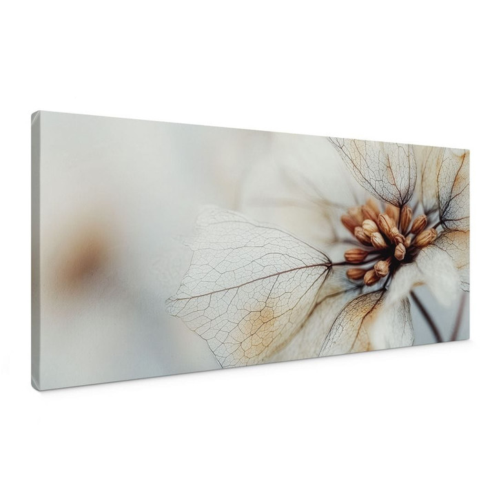 Leinwandbild Blütenstruktur einer Trockenblume - Treechild - Panorama - WA496994