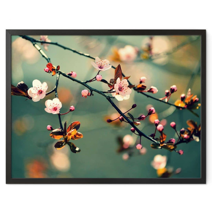 Poster Frühlingserwachen - WA247351