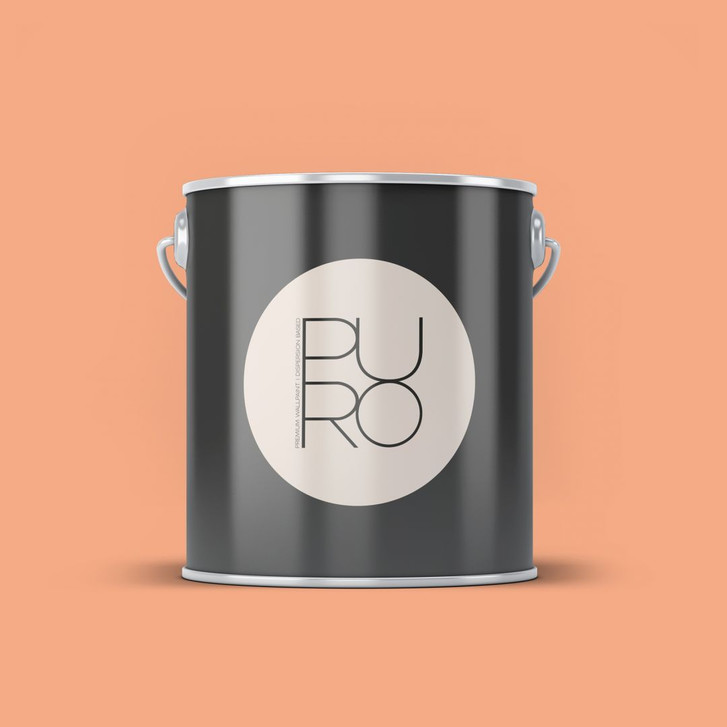 Premium Wandfarbe Orange - Tuchmatte Innenwandfarbe - PURO c9013 diverse apricot - WA443479