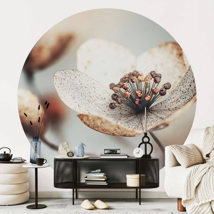 Fototapete Blumentapete Boho Trockenblume Makro - Treechild - Rund - Selbstklebend/Vlies - WA494821