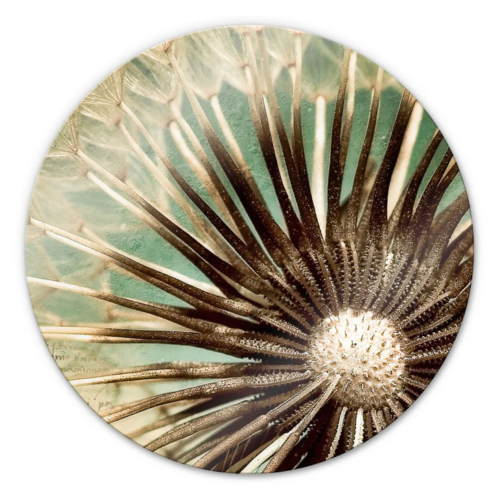 Glasbild Pusteblumen-Poesie - rund - WA126923