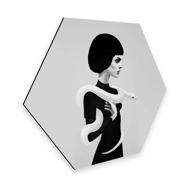 Hexagon - Alu-Dibond Ireland - Only Skin - WA295386