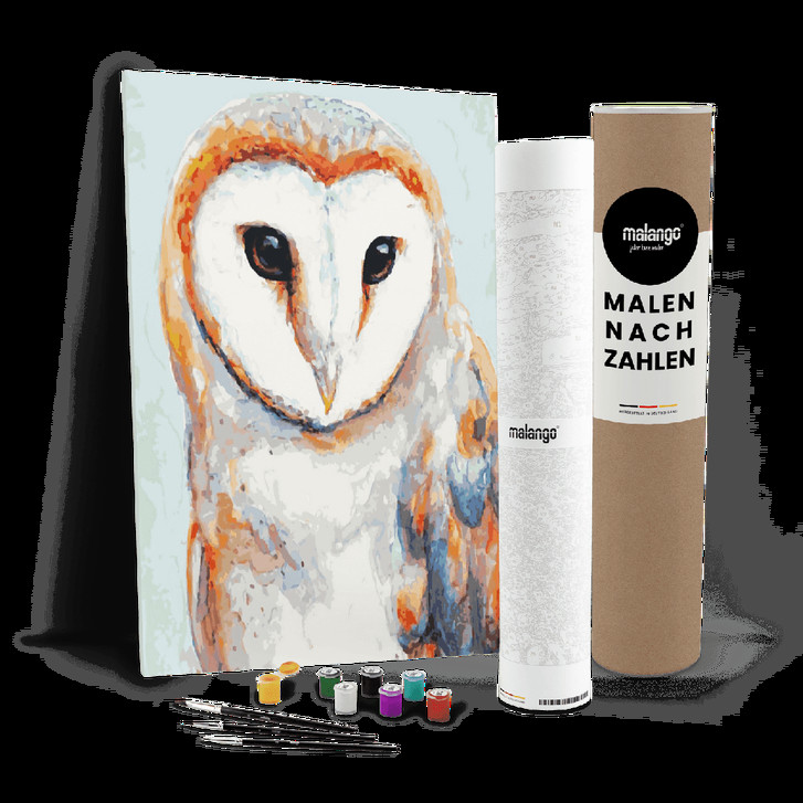 Malen nach Zahlen Leinwandbild - Eule anmutige Schleiereule - WA446910