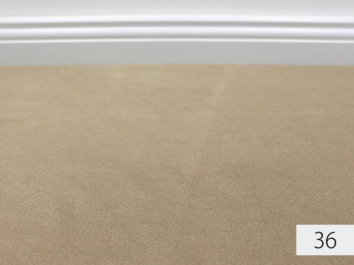 Oinone Super Soft Teppichboden Meterware in 36 - TS432019