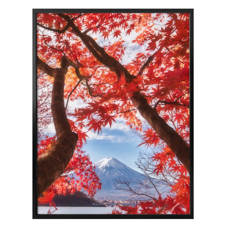 Poster Samejima - Rote Blätter - WA304673