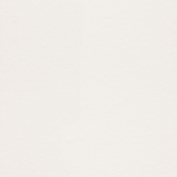 Rasch Vliestapete Makulaturvlies Brick Lane weiss - WA301455
