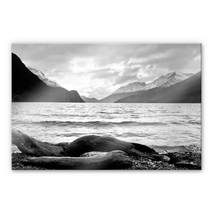 Acrylglasbild Log and Lake - WA481336