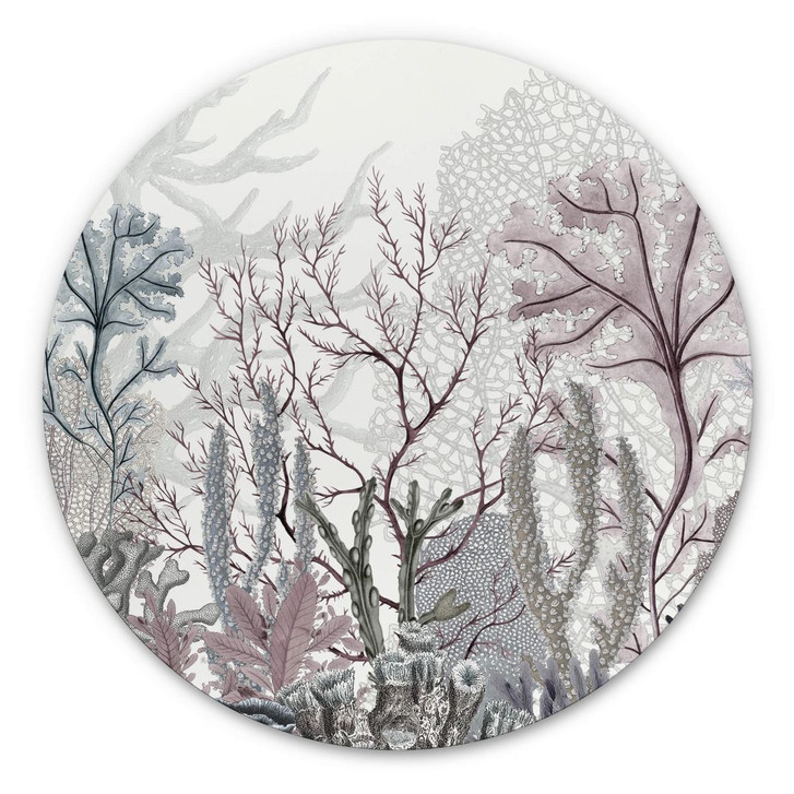 Alu-Dibond Sir Edward - Meereswunder - Rund - WA352206