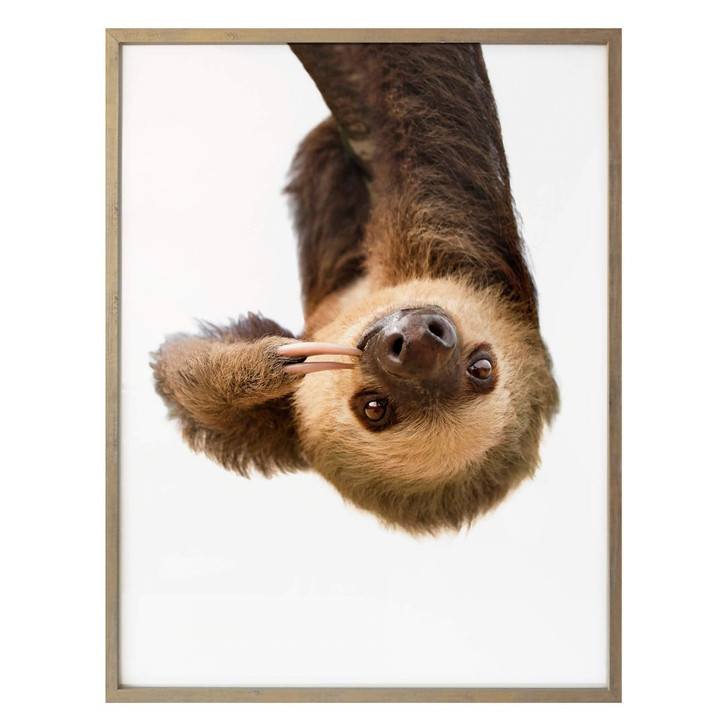 Poster Sisi & Seb - Das Faultier - WA258949