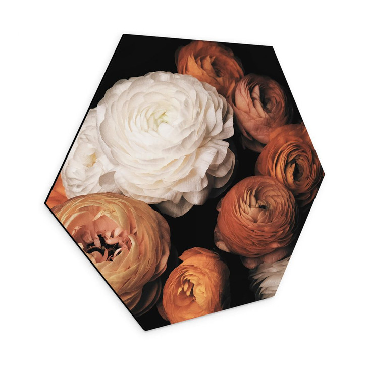 Wandbild FiguraNYC Photography - Ranunkeln Stillleben - Hexagon Alu-Dibond - WA382887