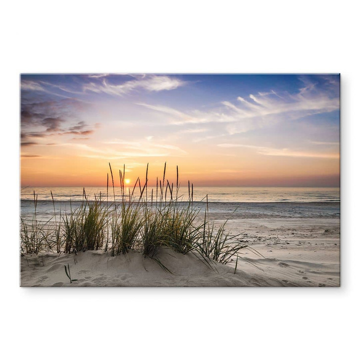 Acrylglasbild Düne am Strand bei Sonnenuntergang - WA479412
