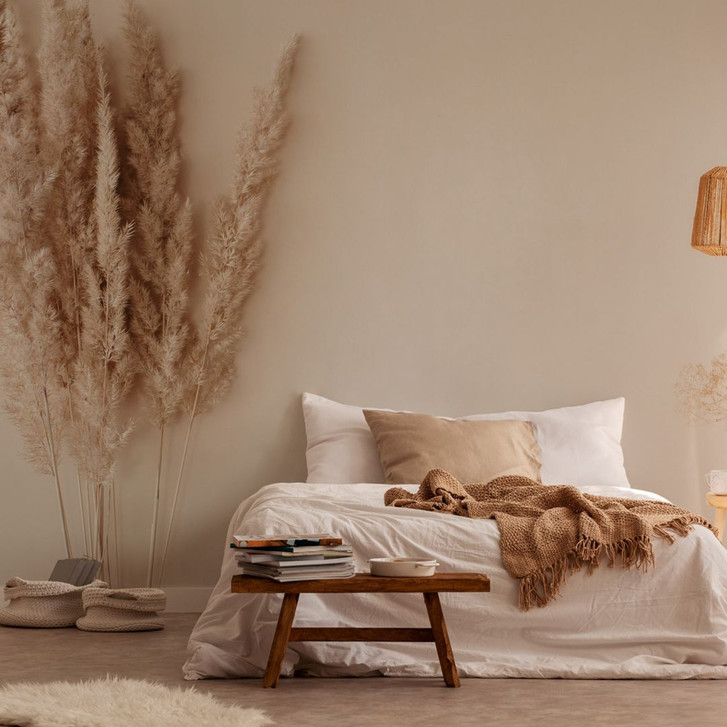 Fototapete Pampasgras Beige Natur 3.75 x 2.50 m - Vliestapete Boho Stil modern - WA505003
