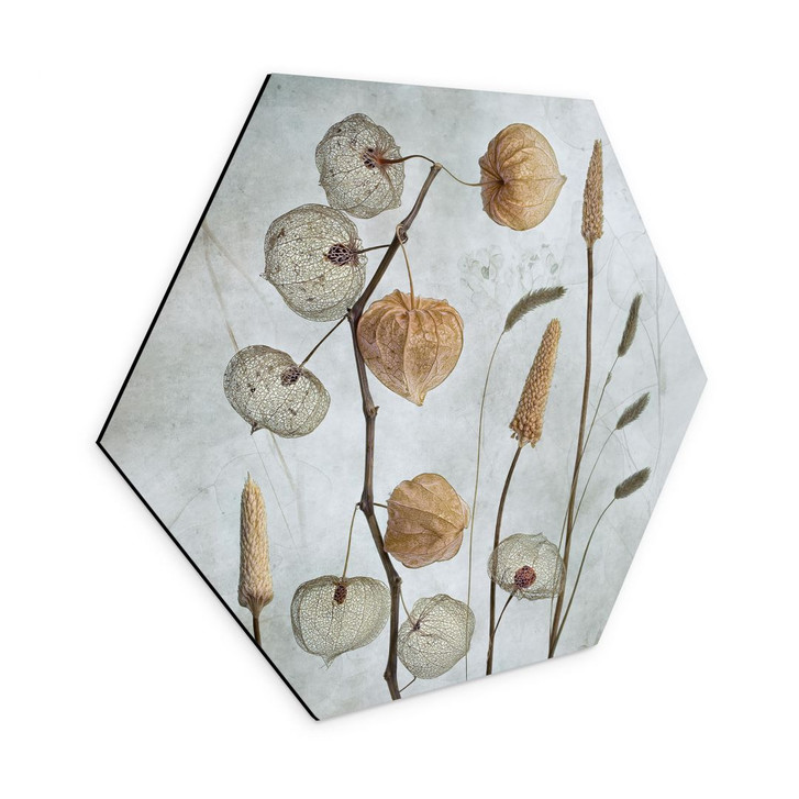 Hexagon Wandbild Getrocknete Lampionblumen - Disher - Alu-Dibond - WA393516