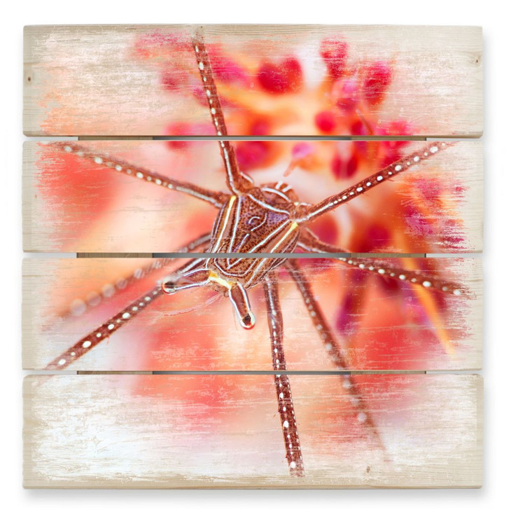 Holzbild Narchuk - Unterwasser-Exotik - 40 x 41.5 cm - WA132318