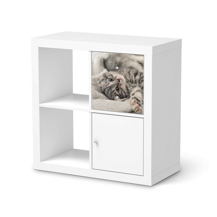 Möbelfolie IKEA IKEA Expedit Regal Schubladen - Kitty the Cat - CR115102