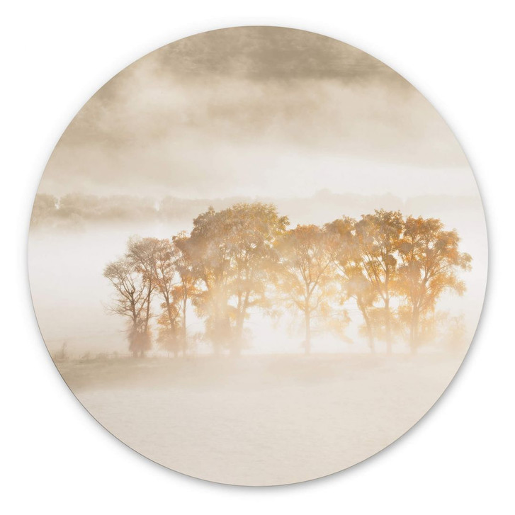 Alu-Dibond Wandbild Fan - Sandsturm in den Rocky Mountains - Rund - WA345044